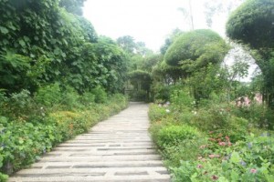Some Roads Lead to Bliss