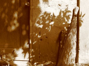 IMG_2065