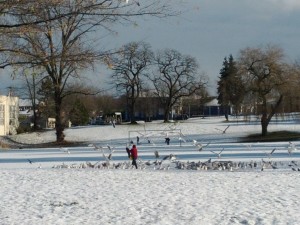 IMG_20120114_115339